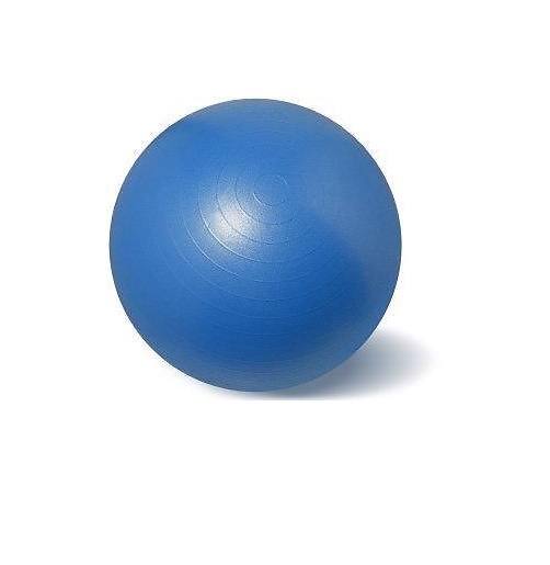 EFFEA FISIOBALL ANTISCOPPIO 65 BLU -  820/1